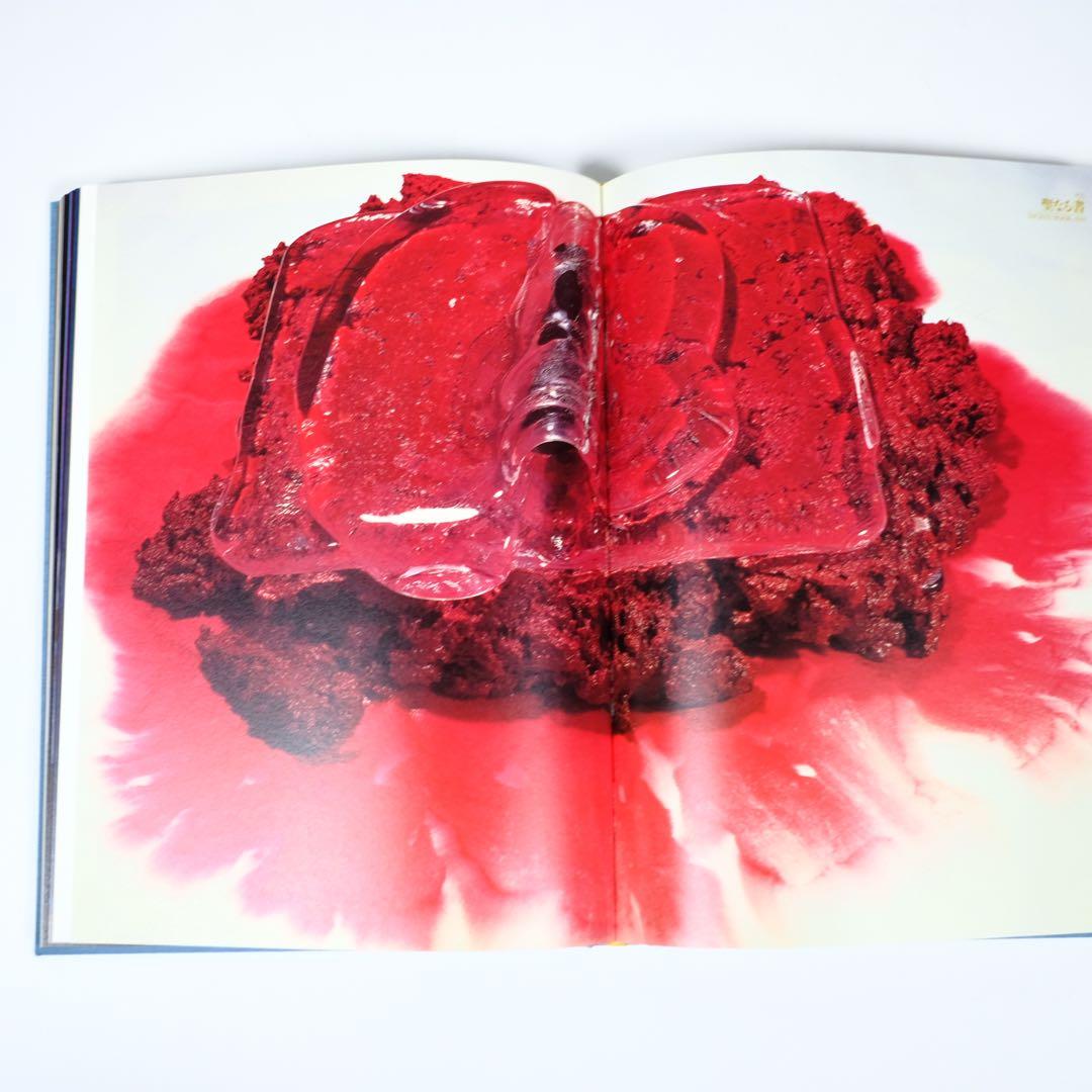 魔の山】中川幸夫 作品集 求龍堂 写真集 花道 極希少本 稀覯本 - メルカリ