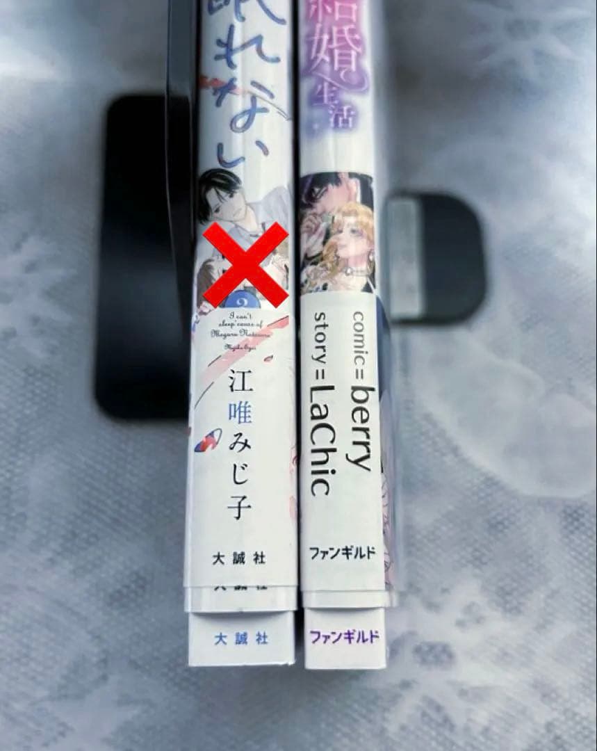 「濡れ衣令嬢のやり直し結婚生活」