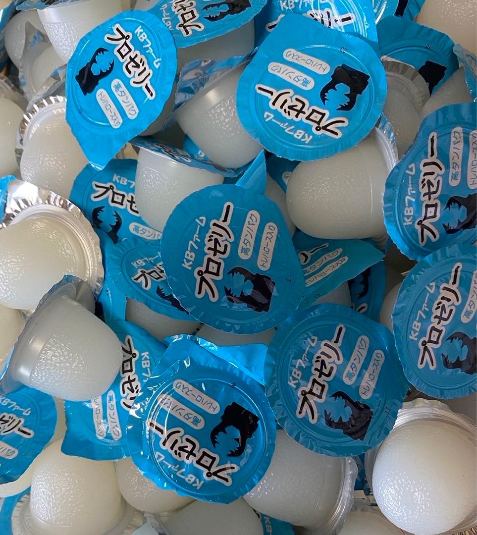 国産プロゼリー3000個KBファーム・カブトムシ クワガタ 【木ぼく