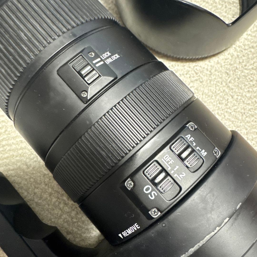 SIGMA 50-500mm F4.5-6.3 APO HSM キャノン用