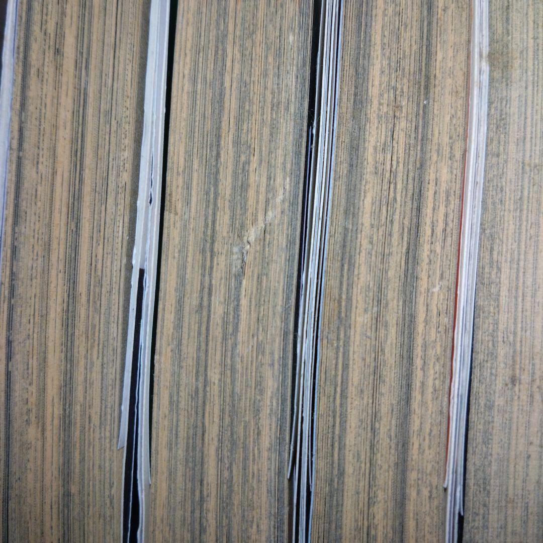 ヴィンランド・サガ 幸村誠 1-25巻 公式ガイドブック - メルカリ