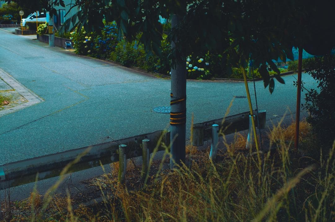 整備済み SMC TAKUMAR 50mm f1.4 後期型 ゴムローレット - メルカリ