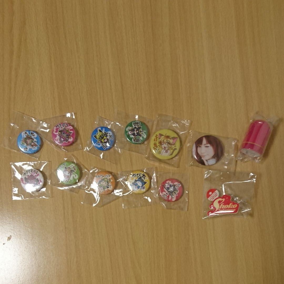 おうちでしょこたんライブ超満喫セット 超貪欲☆まつり IN 幕張メッセ 匿名配送