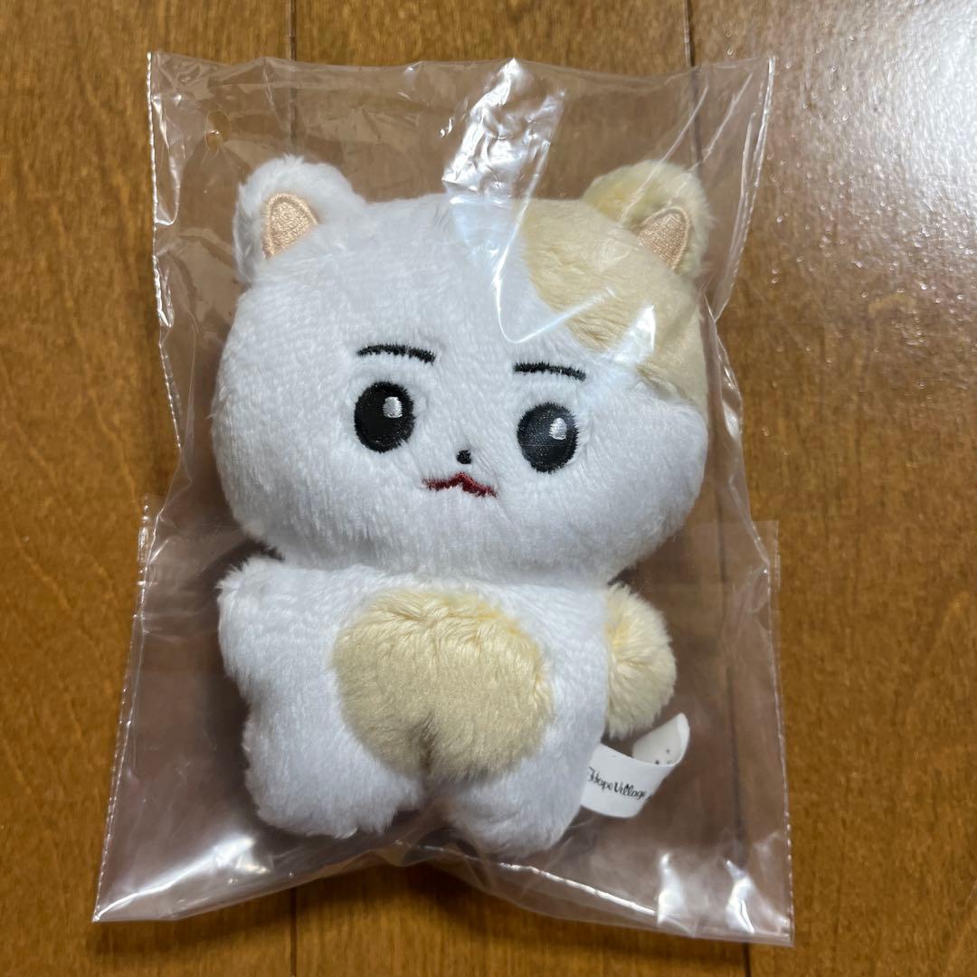 enhypen ヒスン 10cmドール ぬいぐるみ マスター ENHYPEN - メルカリ