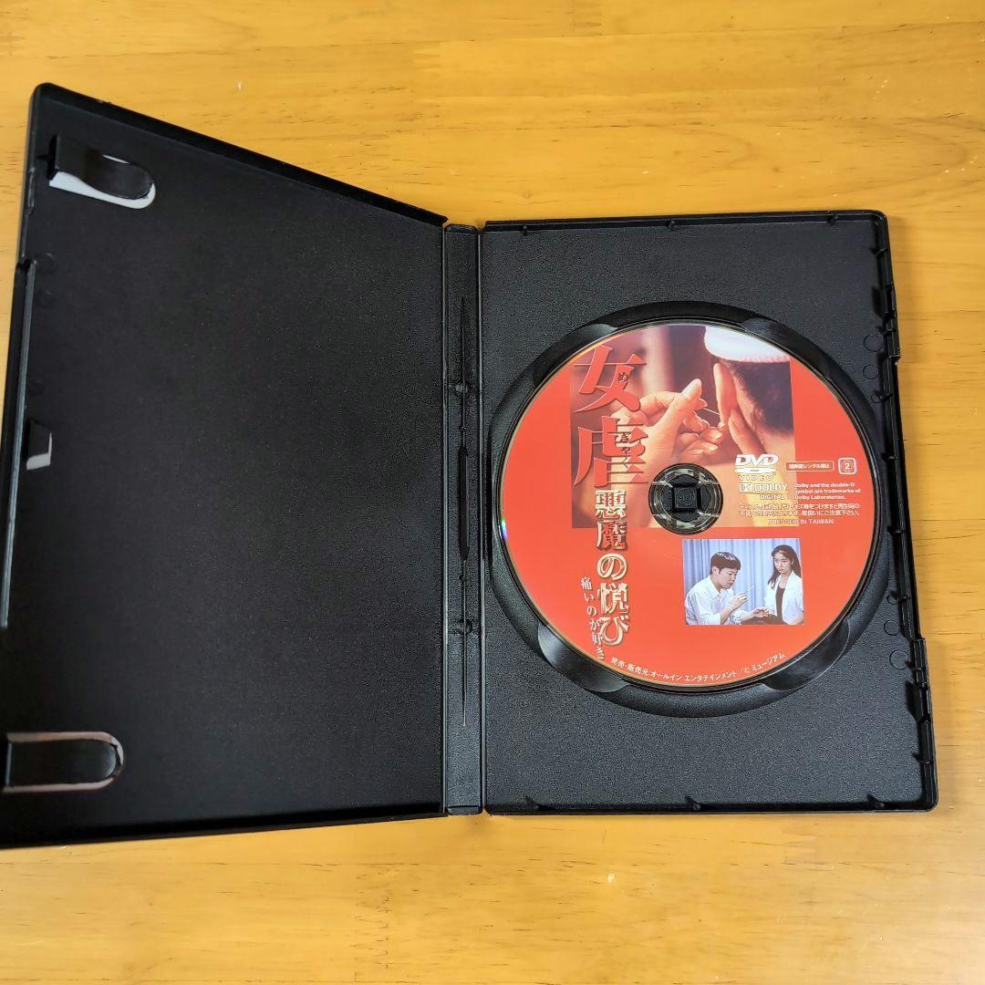 女虐 悪魔の悦び痛いのが好き DVD 廃盤 【セル版】