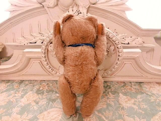 小振りの ハーマンベア アンティーク ☆ パニエ付き テディベア