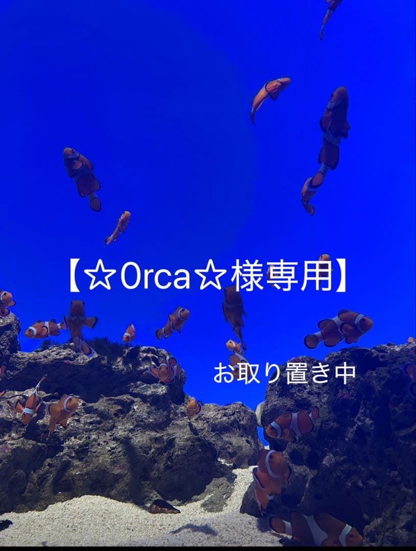 須磨シーワールド　オルカくじ　シャチ　ぬいぐるみ　1等&2等　セット売り 須磨シーワールド オルカ くじ シャチ ぬいぐるみ 3等 - メルカリ
