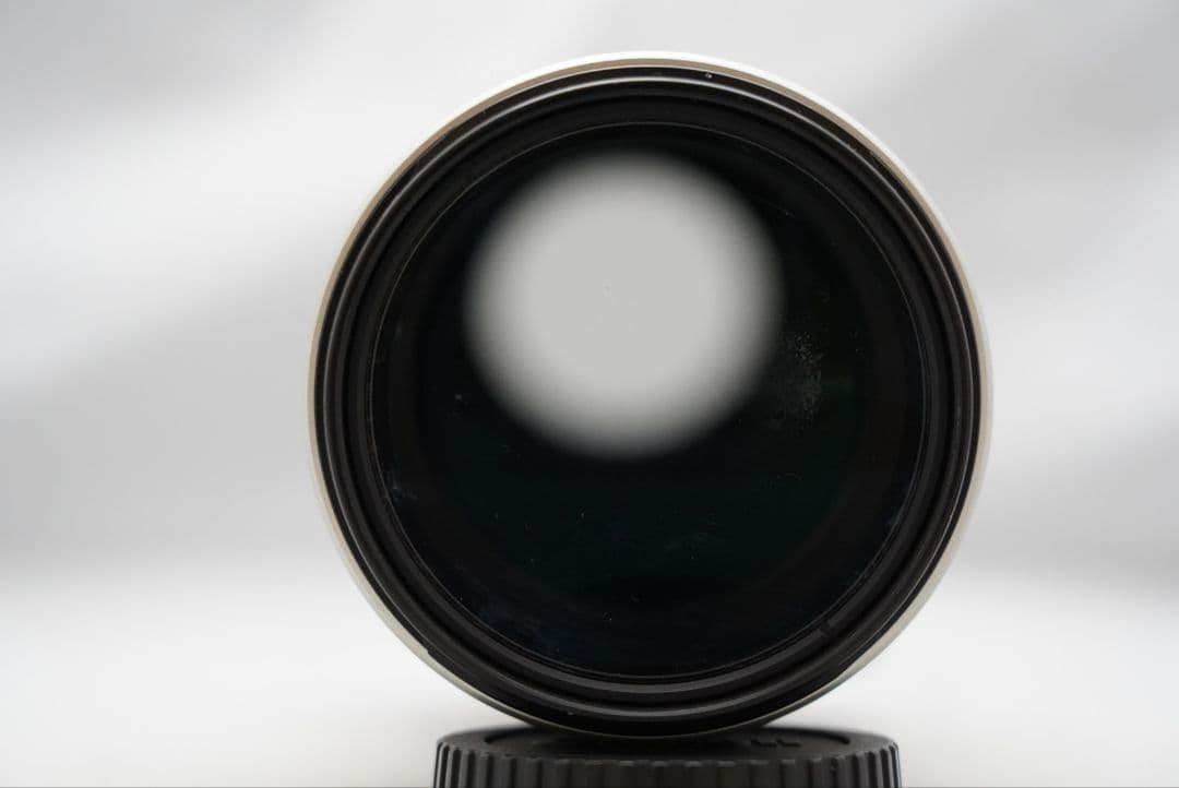 キャノン EF 35-350㎜ F=1:3.5-5.6 L USM 実用品