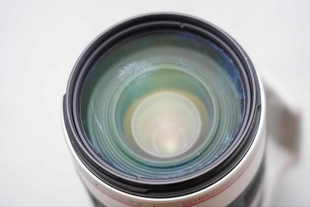 キャノン EF 35-350㎜ F=1:3.5-5.6 L USM 実用品