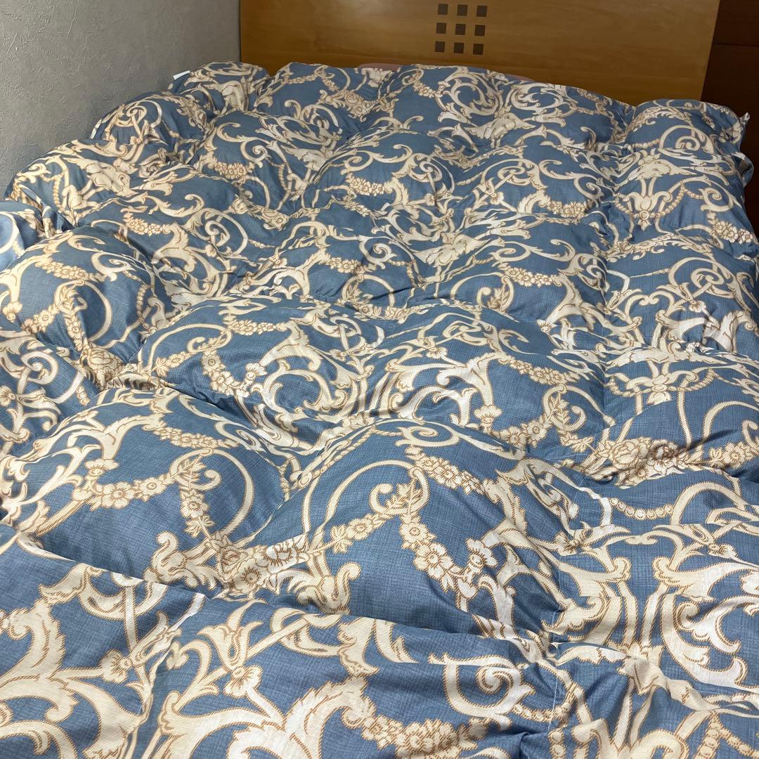 フロートダウン掛け布団シングルサイズ 赤系・青系2点セット（ディノス