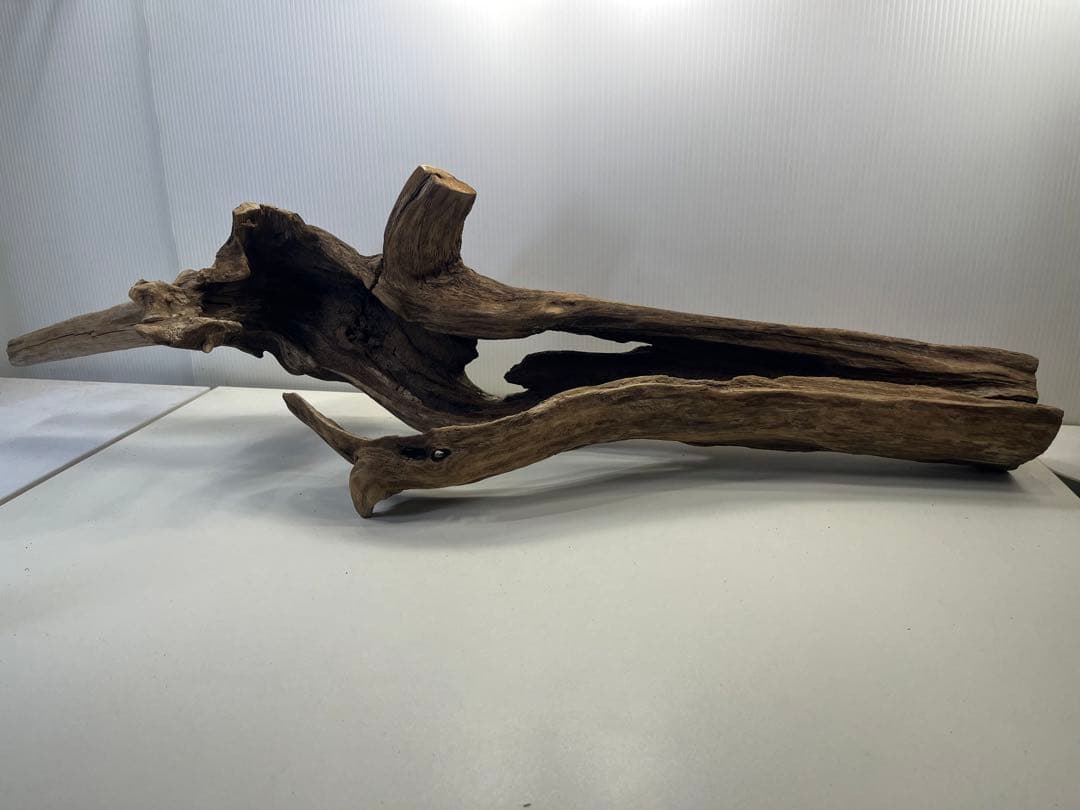 R71特大流木 アク抜き済み流木 爬虫類シェルター 登り木 インテリア 生け花