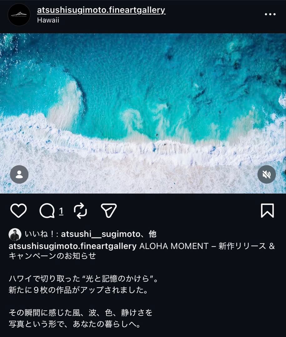 SUGIMOTO ATSUSHI メタルグラスプリント ハワイ - メルカリ