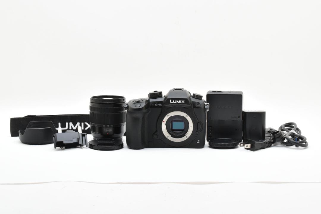 ■ショット数3451回■LUMIX DC-GH5 標準ズームレンズキット LUMIX GH5ミラーレス一眼カメラ 標準ズームレンズキット ブラック DC
