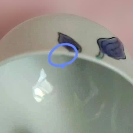 有田焼 岩尾對山窯 色絵 万葉花紋 酒器セット 1合徳利2本 お猪口3個