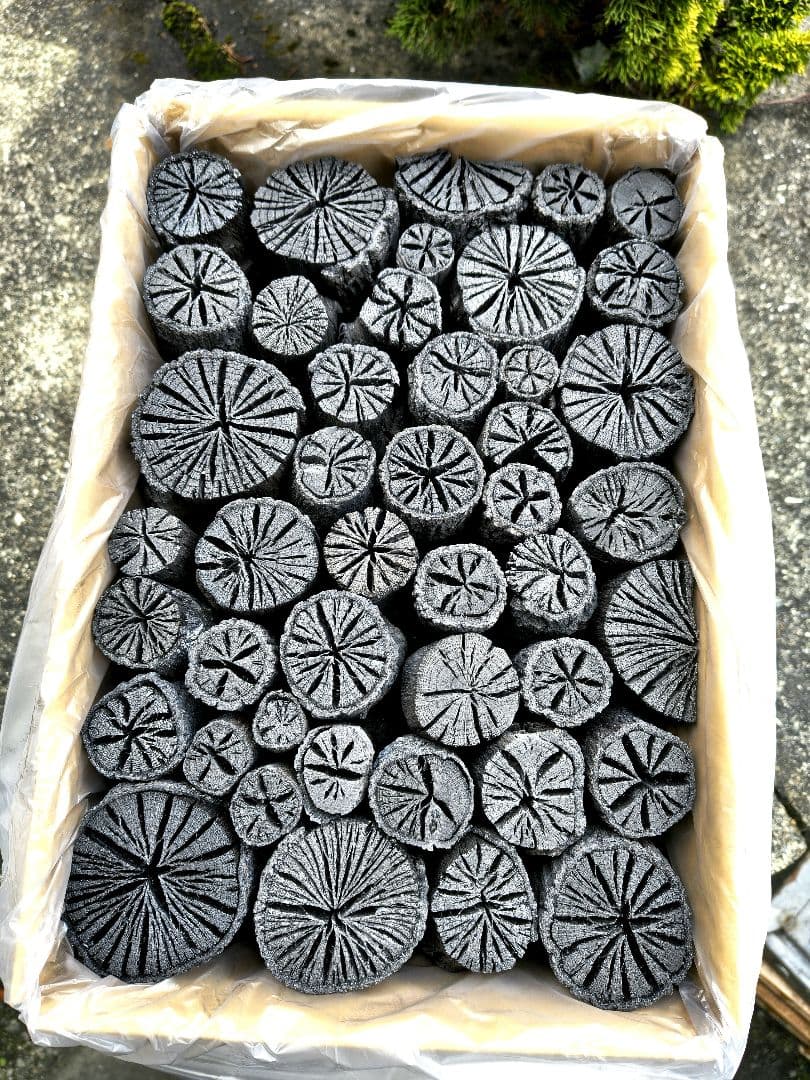 伊予の切炭 】約6kg クヌギ菊炭×2箱