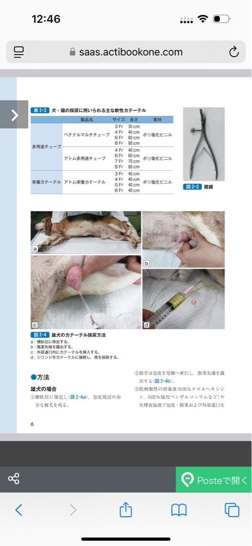 新刊 サッとわかる犬と猫の尿・糞便検査 獣医師愛玩動物看護師のための