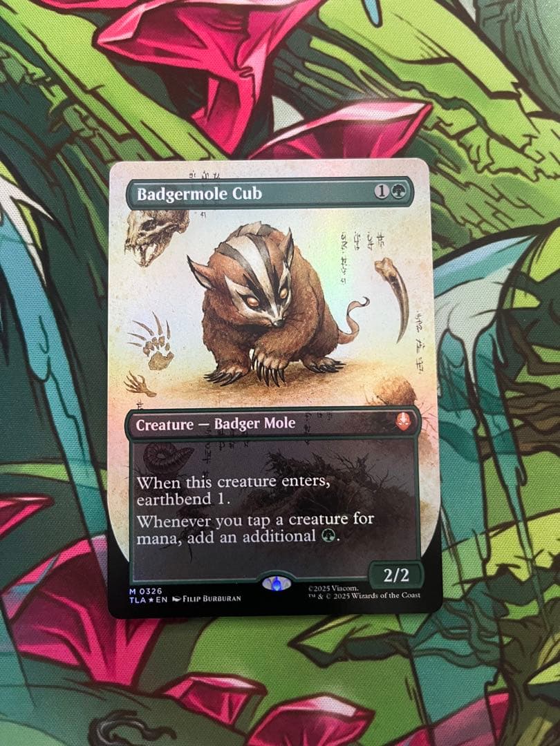 MTG ボーダーレス foil アナグマモグラの仔 Badgermole Cub FOIL] アナグマモグラの仔/Badgermole Cub (全面アート版) 【英語版