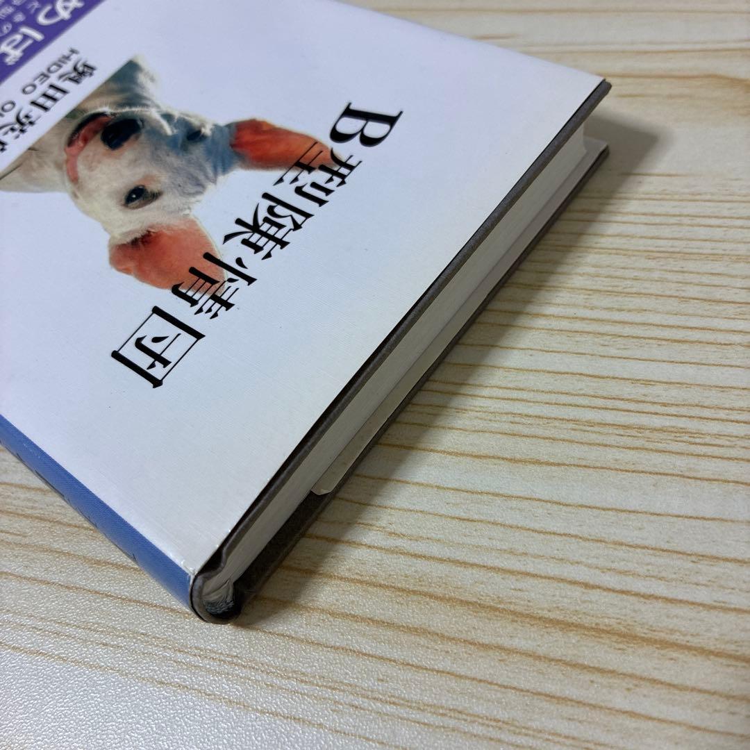 初版】B型陳情団 - メルカリ