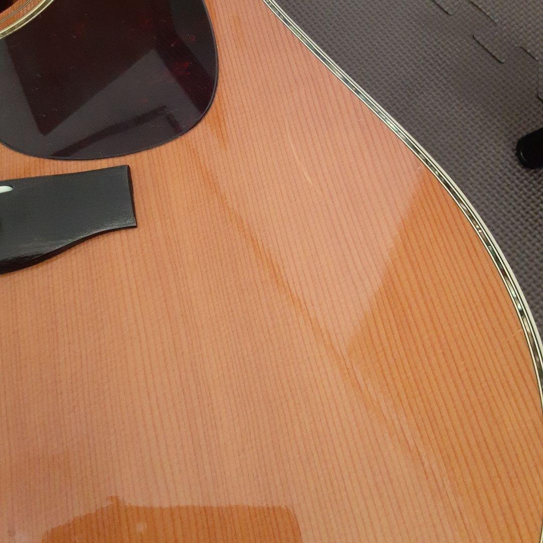 Morris日本製 w30 アコースティックギター ドレッドノートの通販はau