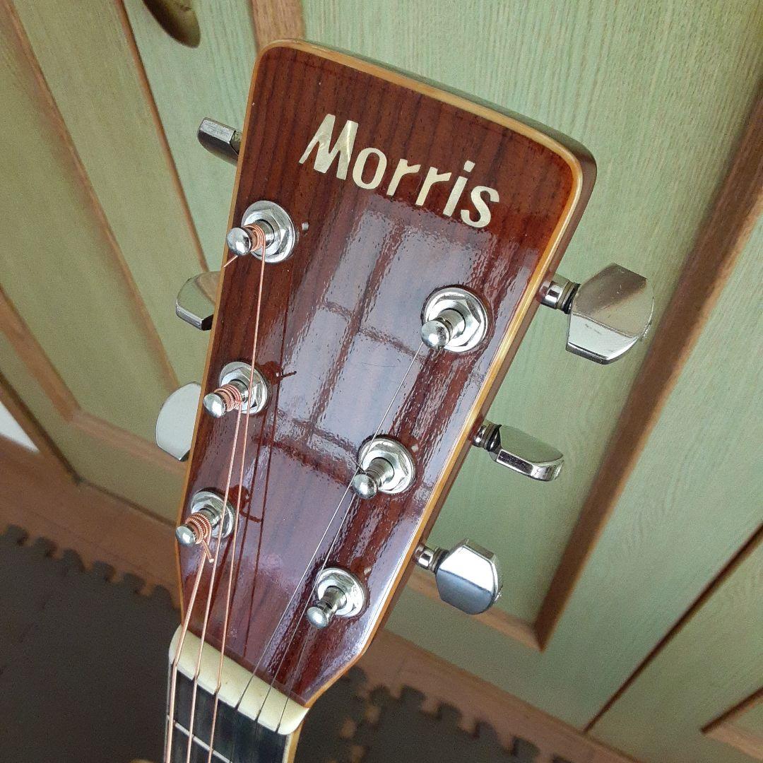 Morris日本製 w30 アコースティックギター ドレッドノートの通販はau