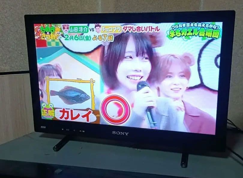 SONY BRAVIA KDL-22EX42H 22インチ液晶テレビ HDD内蔵 - メルカリ