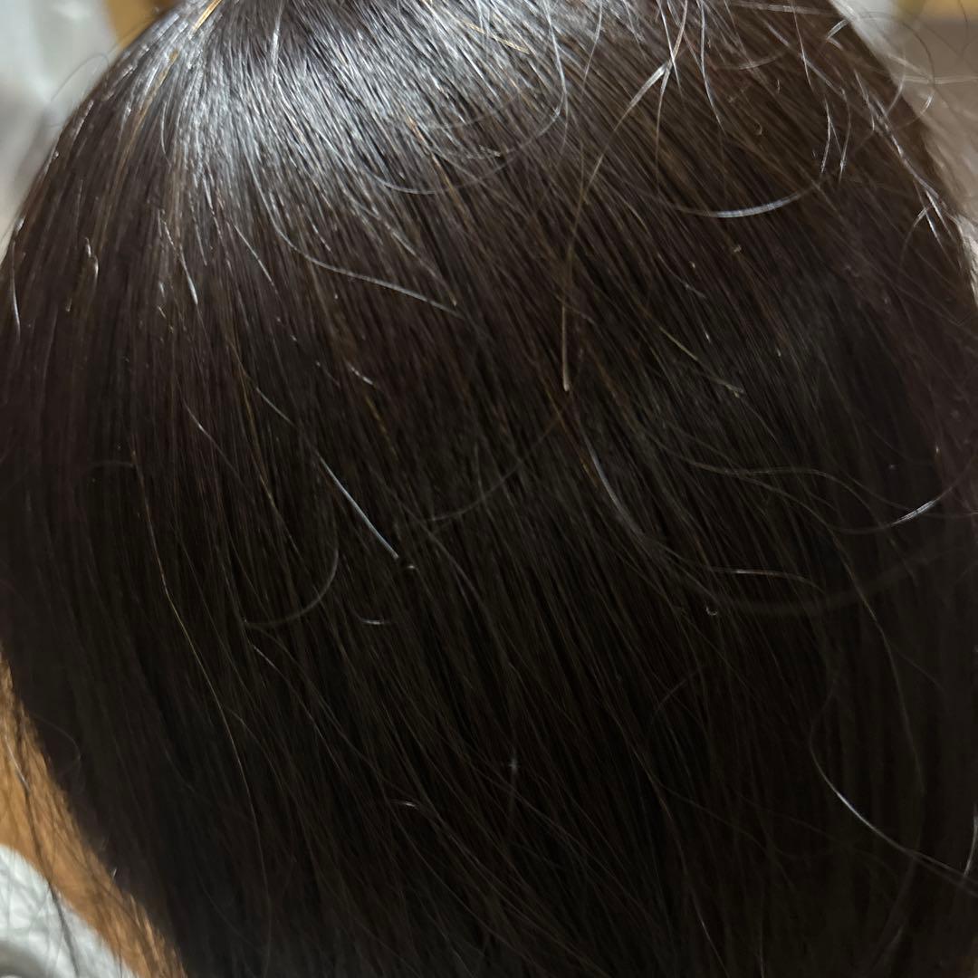 美容師実技試験用 カットマネキン モデルウィッグ 5体セット