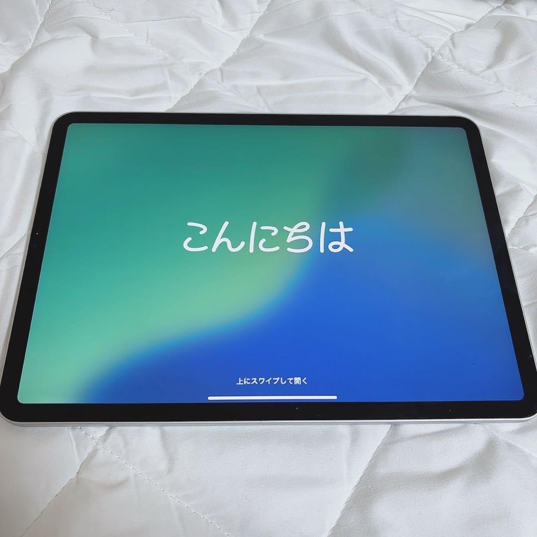 【早い者勝ち】iPad Pro 11インチ 第3世代 256GB Apple iPad Pro 11インチ 第3世代 Wi-Fi 256GB 2021年春モデル 価格