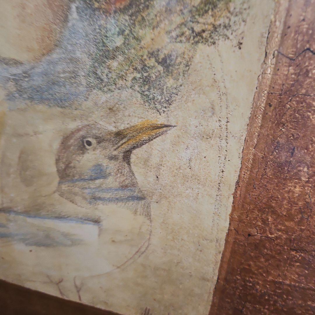 メルサド.ベルバーの作品 少女と鳥 - メルカリ