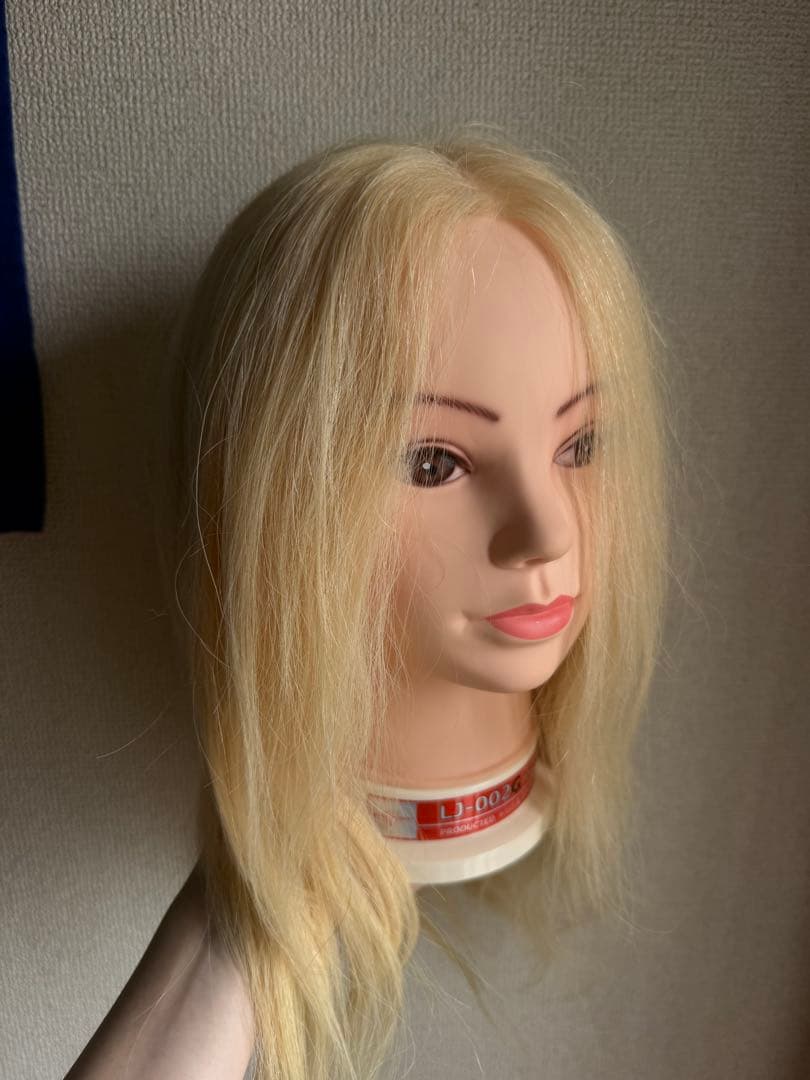 アップウィッグブロンドアレンジウィッグ　人毛100%　美容師　美容学生 美容師 ヘアアレンジ マネキン アップウィッグ ブロンド 日本髪