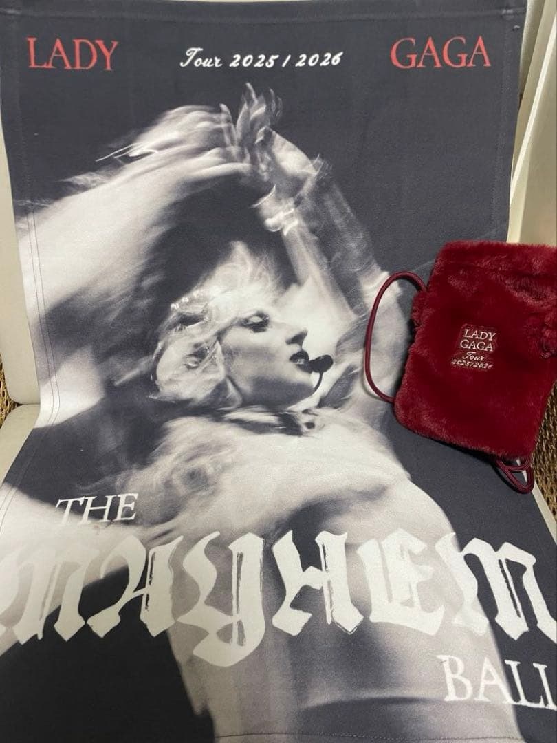 Lady Gaga VIP GOLD グッズ セット - メルカリ