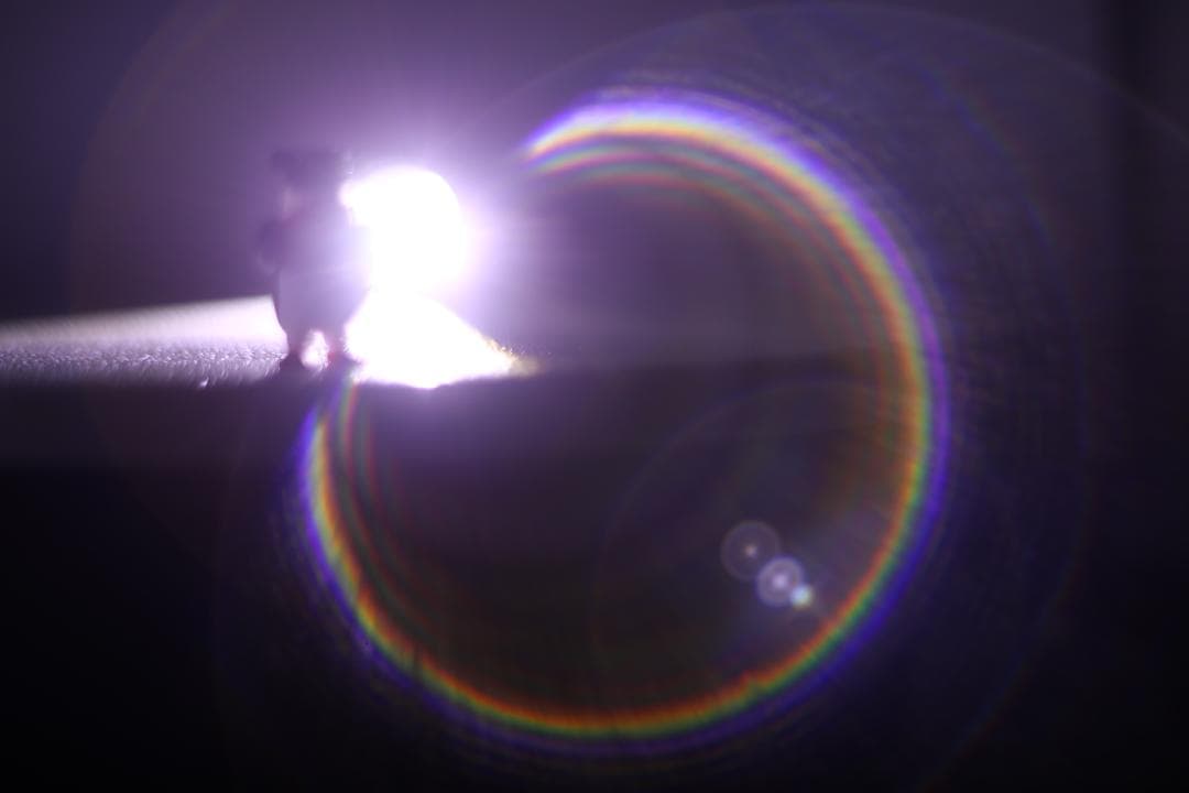 Super-Takumar 55mm f1.8 前期型 黄変なし 分解清掃済 - メルカリ