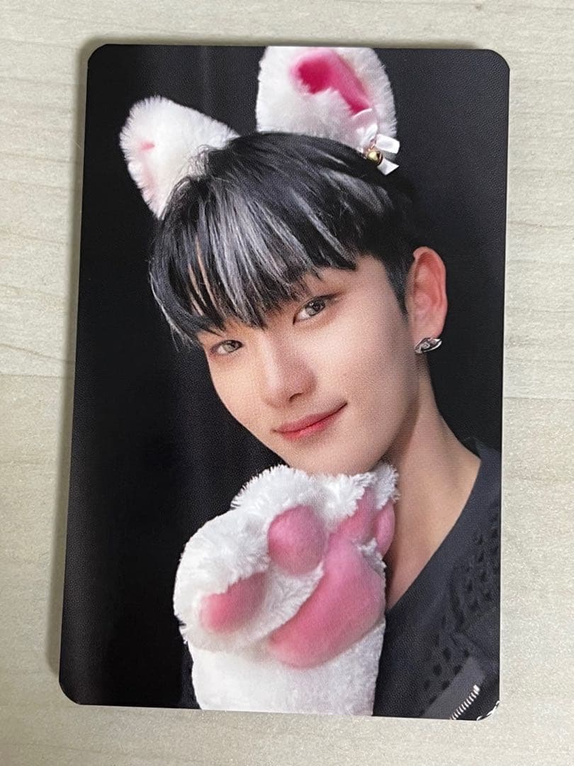 n.SSign デビューショーケース 猫トレカ 【ジュニョク】