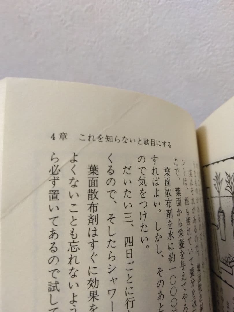 グリーンインテリア入門　森山恵司