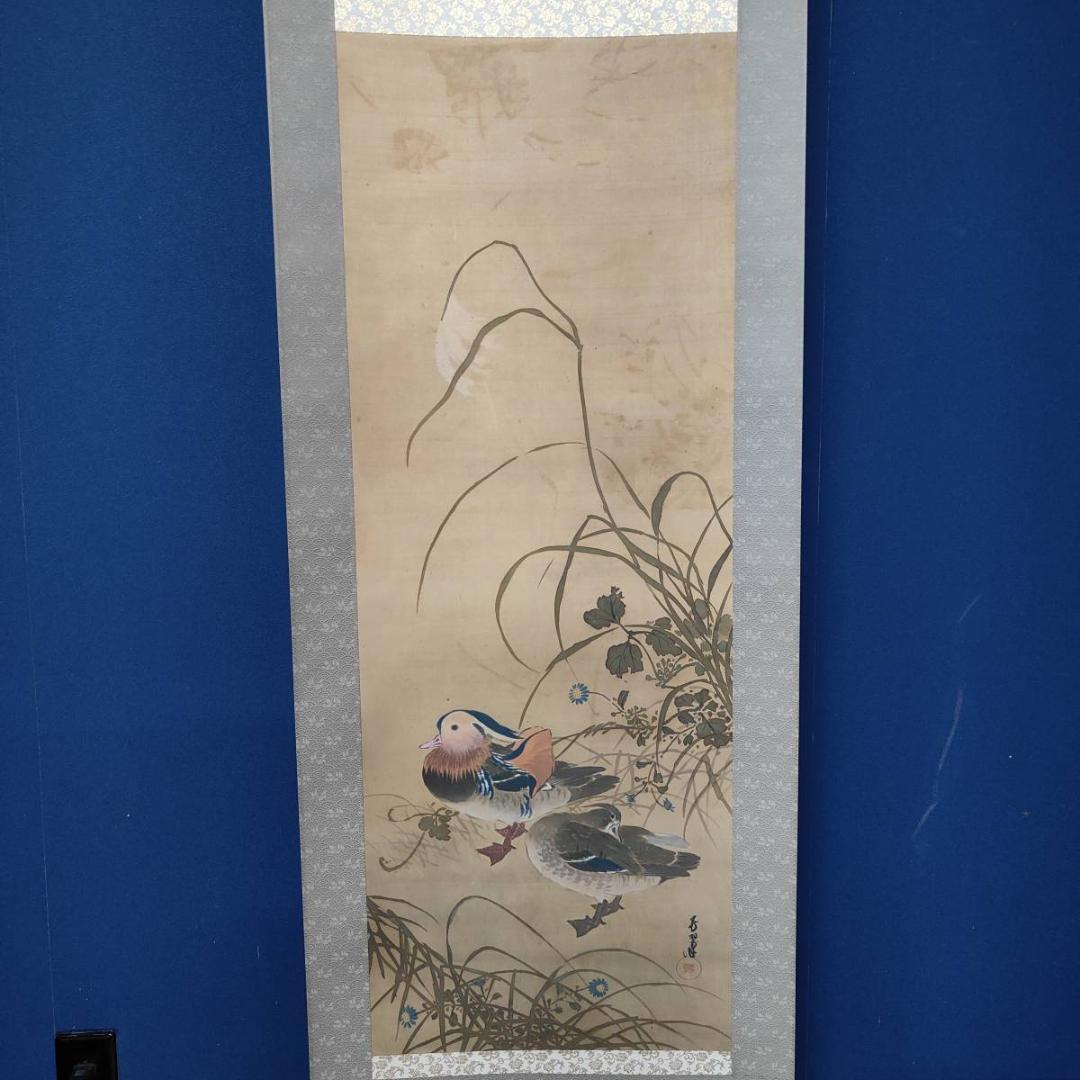 真作/芳翠/秋草鴛鴦図/オシドリ/花鳥/布袋屋掛軸A-519 - メルカリ