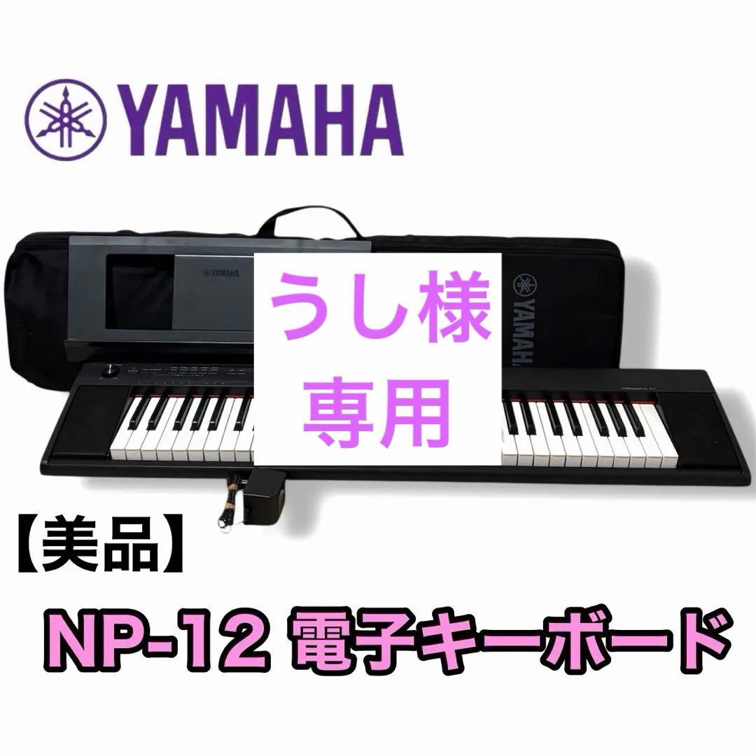 美品YAMAHA ヤマハ NP-12 電子キーボード 電子ピアノ＆ソフトケース付 ヤマハ | NP-12 - Piaggero（ピアジェーロ） - 概要