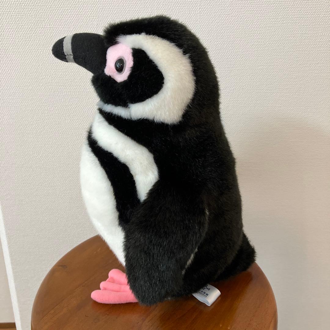 すみだ水族館 オリジナル 飼育員監修 マゼランペンギン ぬいぐるみ M