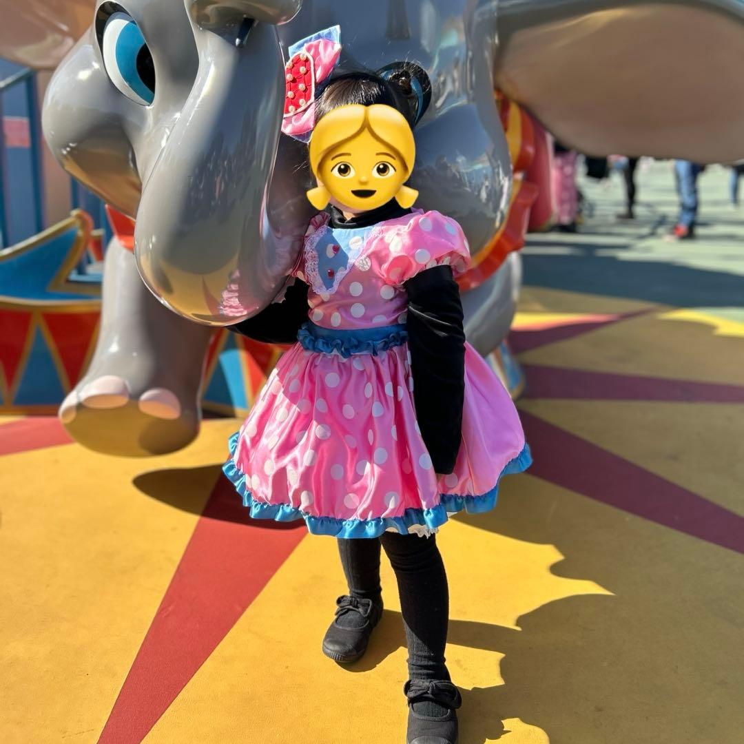 ディズニー パルパルーザ ミニー ファンダーランド ワンピース - メルカリ