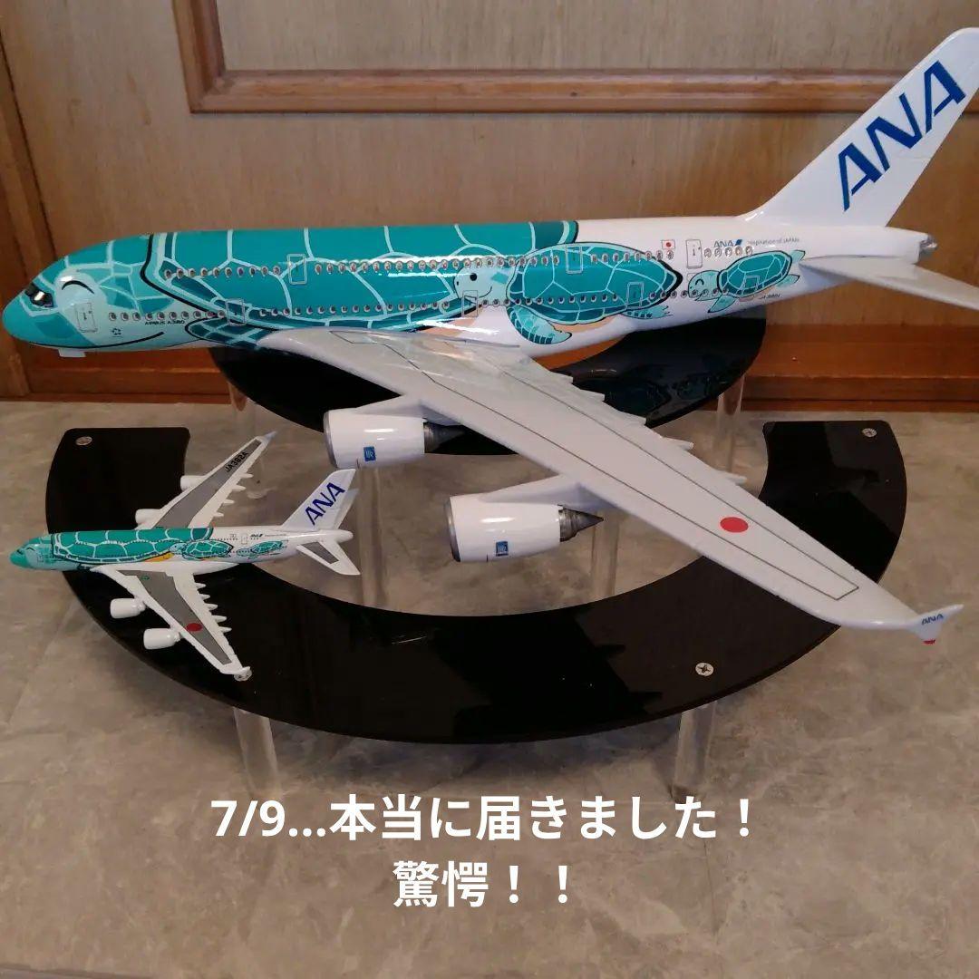 うなりさん確認用ANAフライングホヌ約50cm うなりさん確認用ANAフライングホヌ約50cm うなりさん確認用ANA