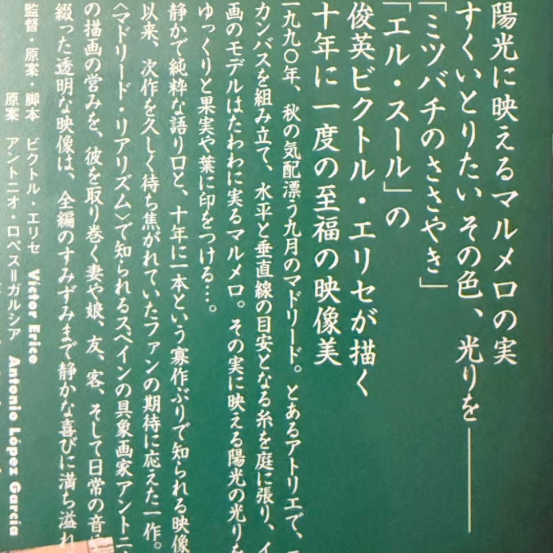 大雪特価‼️幻の傑作‼️「マルメロの陽光('92スペイン)」ヴィクトル
