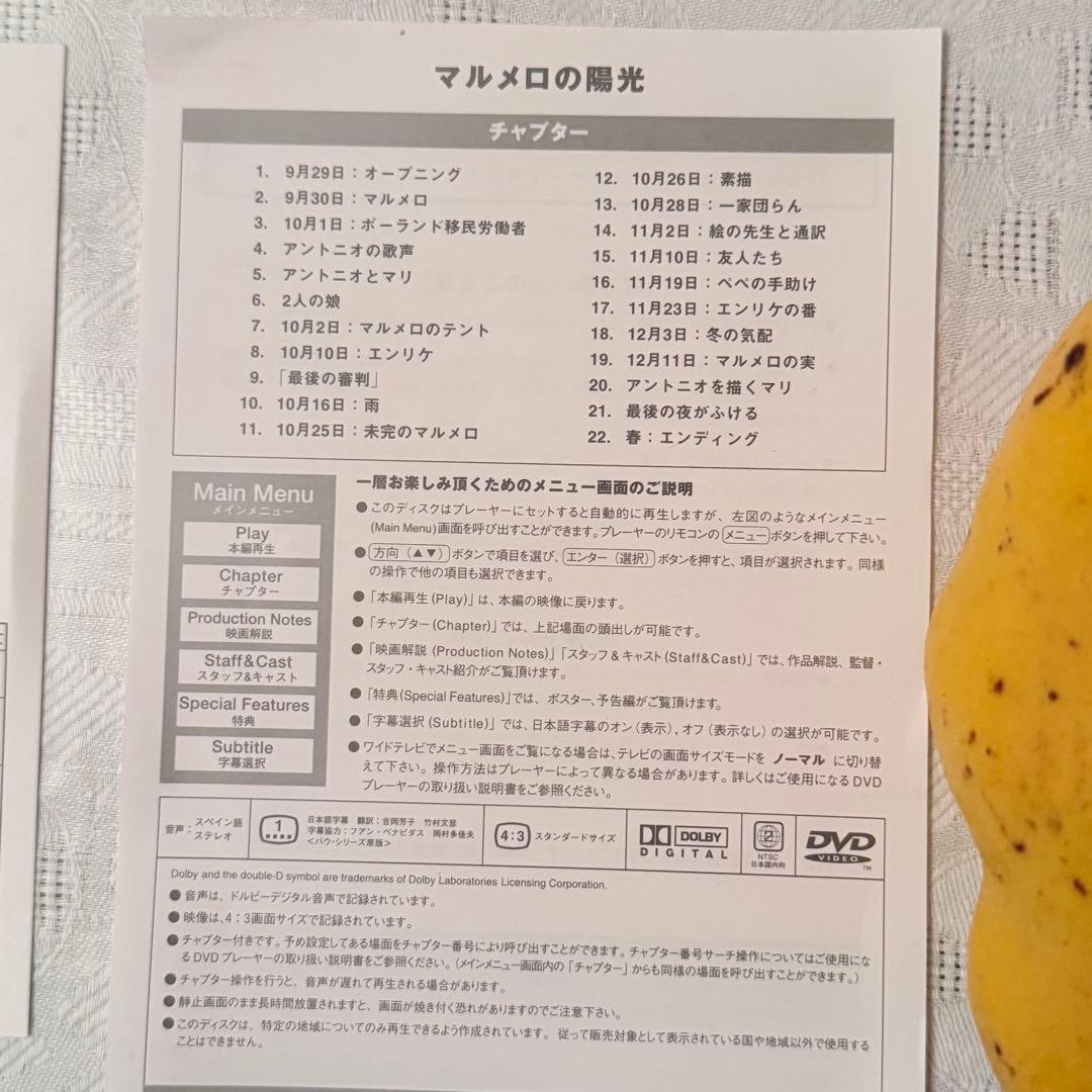 大雪特価‼️幻の傑作‼️「マルメロの陽光('92スペイン)」ヴィクトル