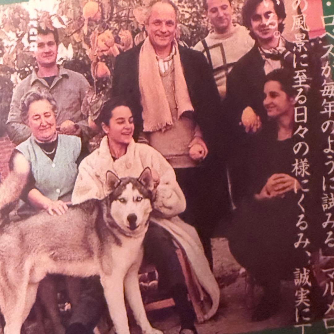 大雪特価‼️幻の傑作‼️「マルメロの陽光('92スペイン)」ヴィクトル