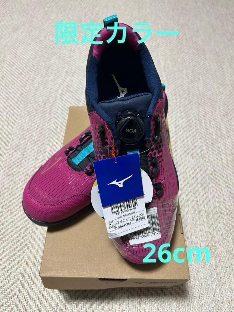 新品 26.0cm 限定カラー Mizuno BOAシステム安全靴 - メルカリ