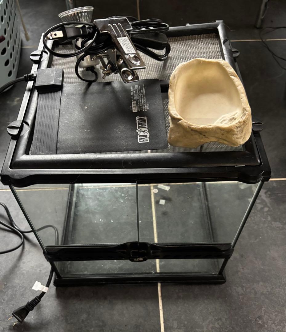 グラステラリウム3030 飼育セット 楽天市場】GEX グラステラリウム 3030 爬虫類 飼育 ケージ ガラス