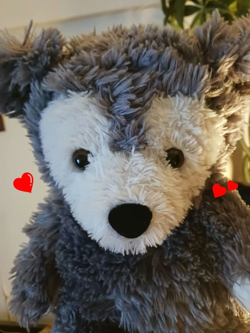 ウォルト・ディズニー・ワールド ディズニーベア グレーダッフィー