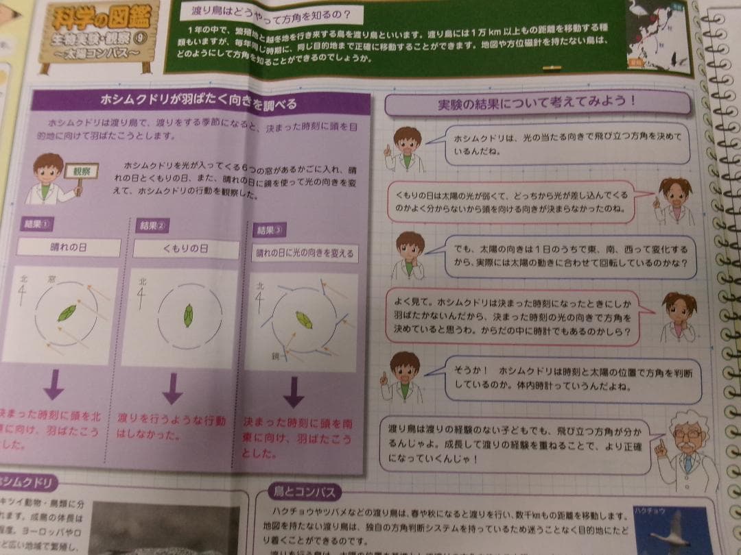 Yu@@Yuデイリー サピックス＊６年＊理科／全３８回 完全版＊２０２４年