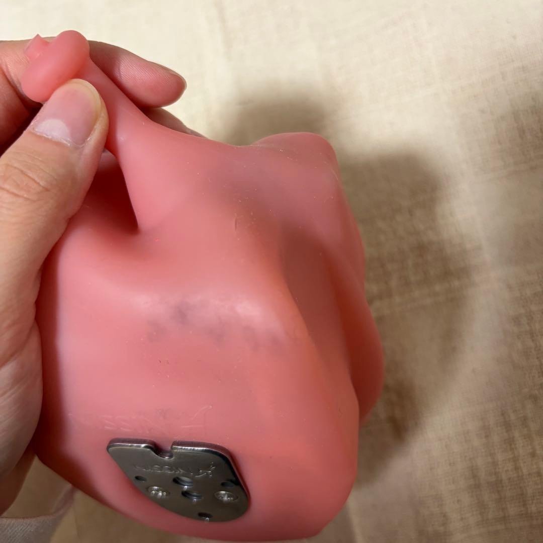 顎模型 頬粘膜付き 箱無し