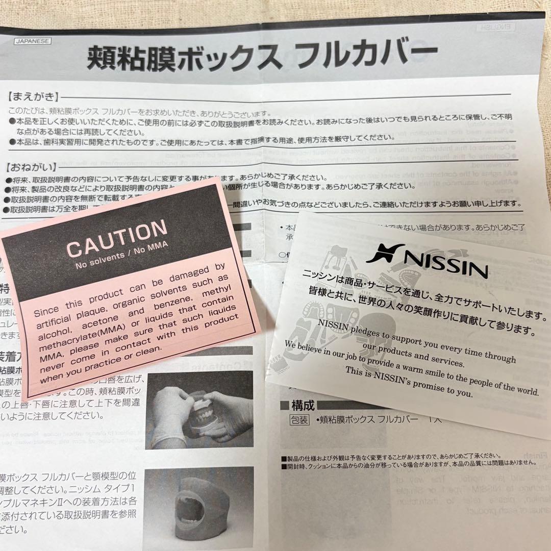 顎模型 頬粘膜付き 箱無し