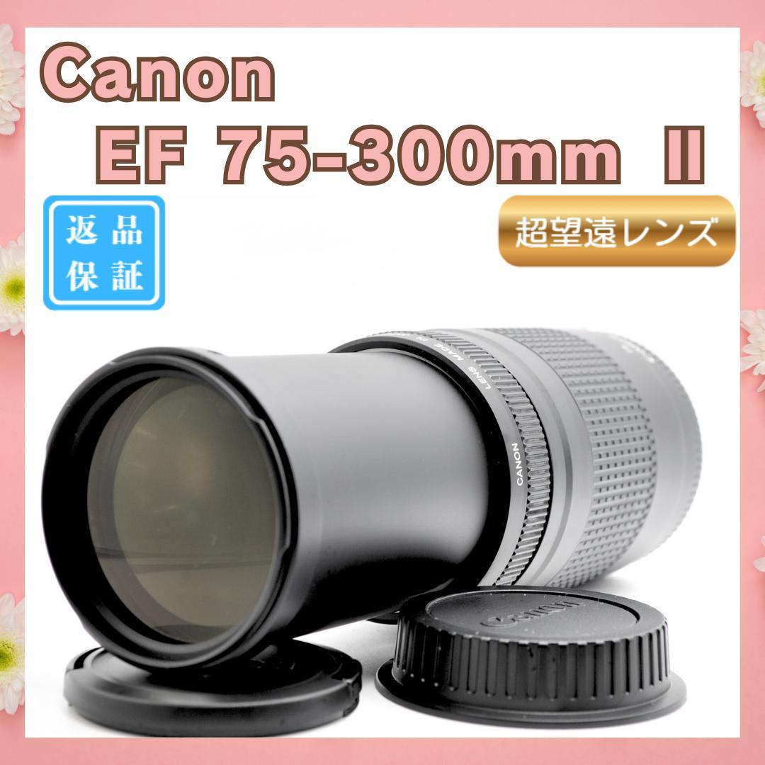 ✨大特価✨Canon EF75-300mm II 超望遠レンズ Amazon.com : Canon EF 75-300mm f/4-5.6 III Telephoto Zoom Lens for