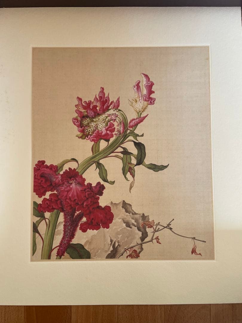 稀少中国清郎世宁长春图 名家绢絵 日本株式会社 二玄社印刷品16枚