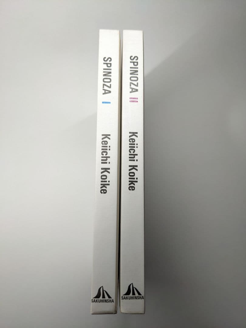 小池桂一『スピノザ 1 予感 / 2 回路』 初版SPINOZA I & II スピノザ